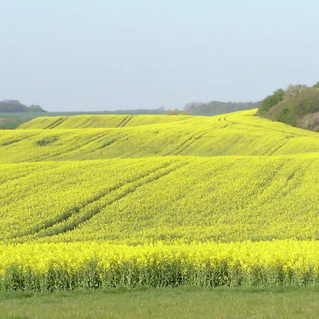 Gemuetliche In Prázdninový dům