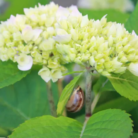 Prázdninový dům Gemuetliche In Satow
