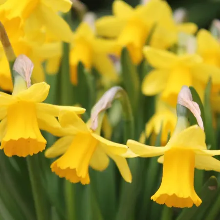 Prázdninový dům Gemuetliche In